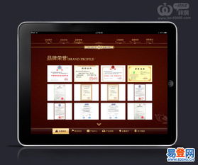 精湛的技術，優秀的服務 深圳軟件開發公司的卓越之道